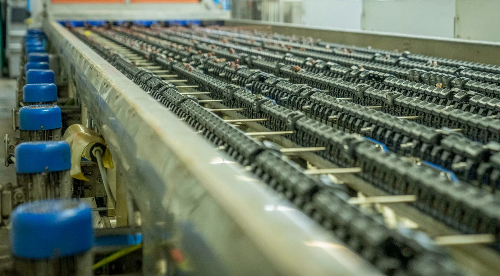 Industrial conveyor in a packaging facility